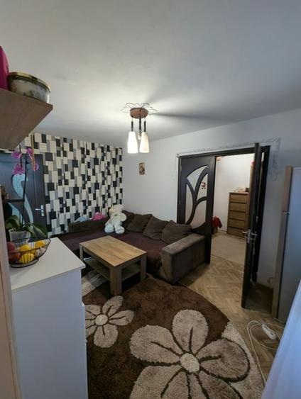 Apartament cu 2 camere semidecomandat, mobilat în Valea Rosie