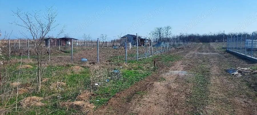 Teren de 800 mp, în Central