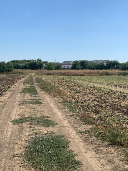 Teren Construcții intravilan de 21200 mp, în Tunari