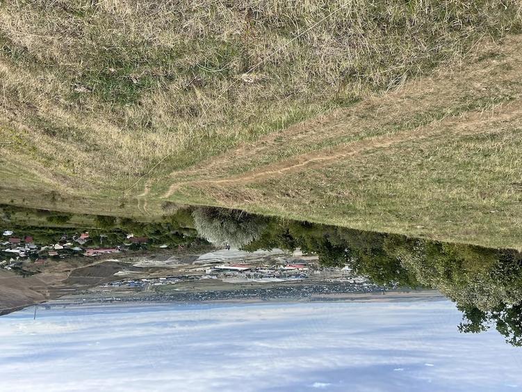 Teren de 1000 mp, în Bucium