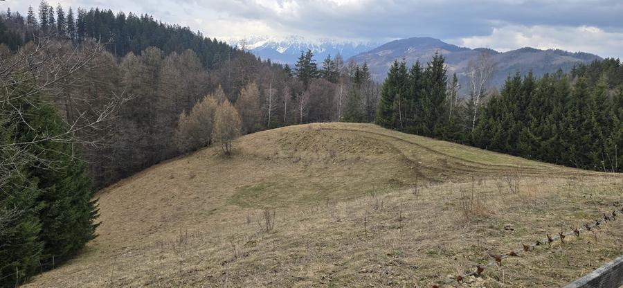 Teren Construcții intravilan de 3040 mp, în Bran
