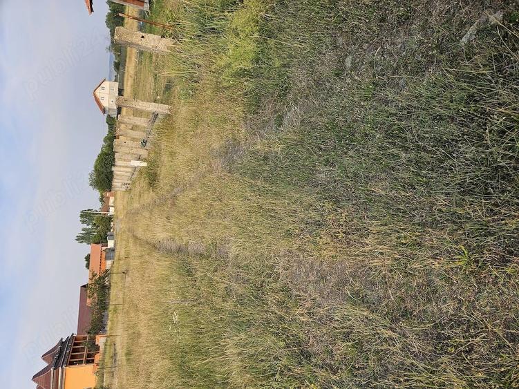 Teren de 600 mp, în Tileagd
