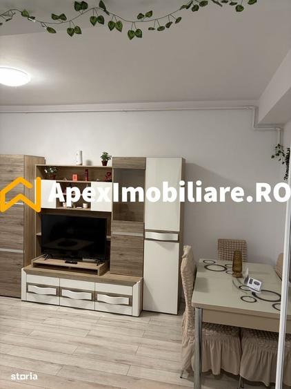Apartament cu 2 camere în Roșu