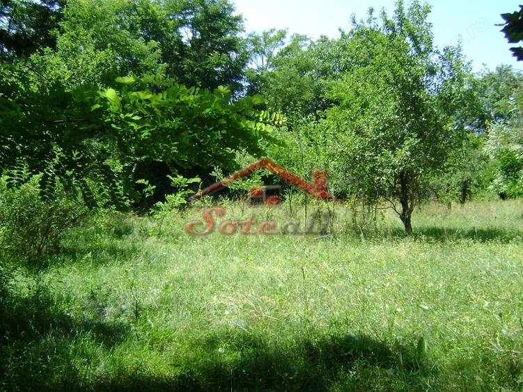 Teren de 1585 mp, în Cornu