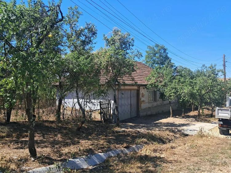 Teren de 5000 mp, în Drăgoteni