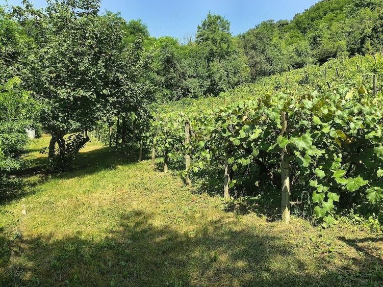 Teren de 5600 mp, în Valea Budului