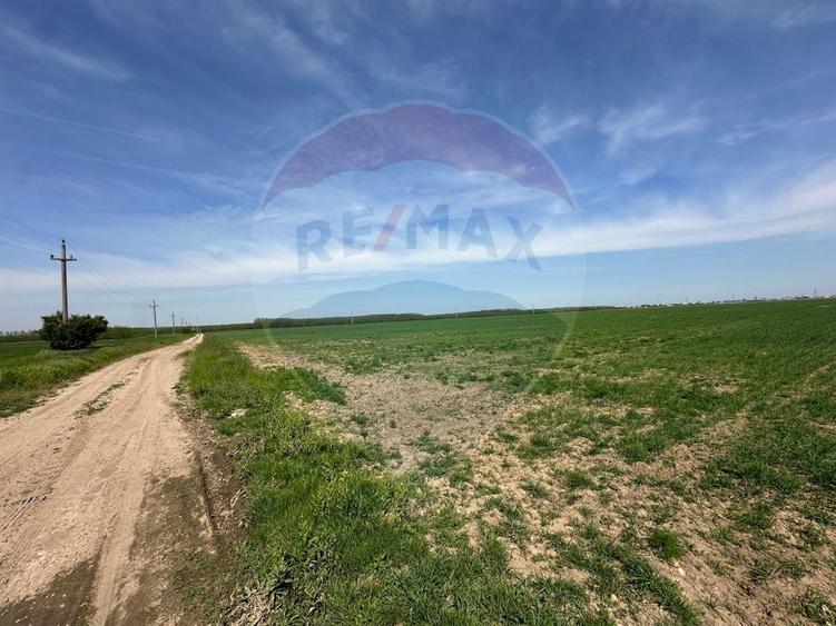 Teren Construcții intravilan de 138104 mp, în Dragomirești-Vale