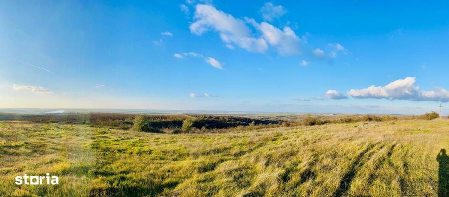 RASOVA Cochirleni Teren extravilan 38 Hectare comasat 100% - 6