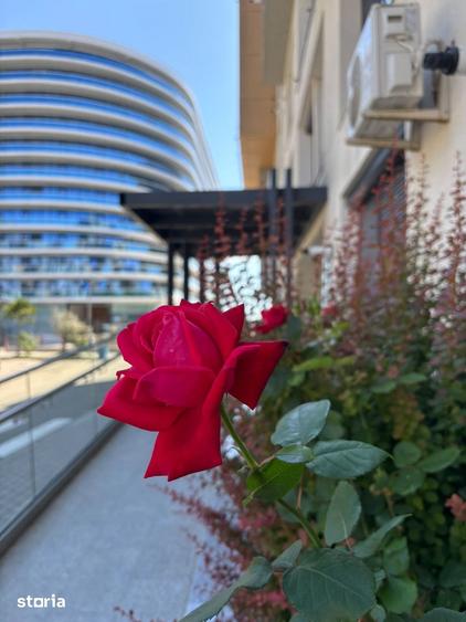 Mamaia Nord Complexul Onyx Resort/Apartament cu 2 camere/Loc de Parcar - 2