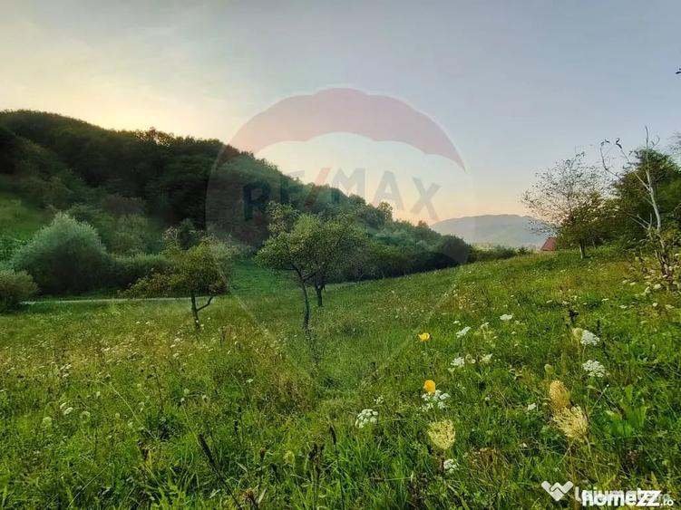 Teren în Bârsana
