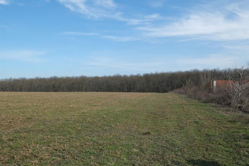 Teren Construcții intravilan de 1075 mp, în Găneasa