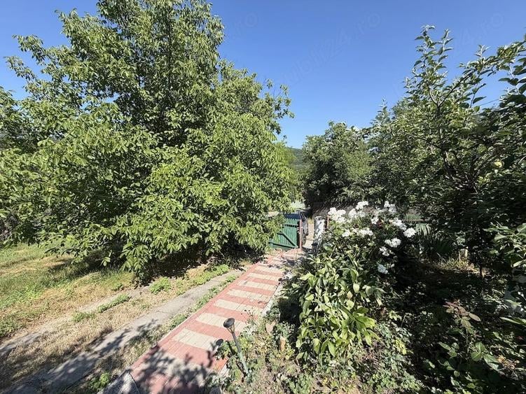 Casa cu gradina frumoasa la tara - 4