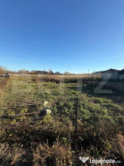 Casă cu 3 camere cu Teren 4900 Mp în Central