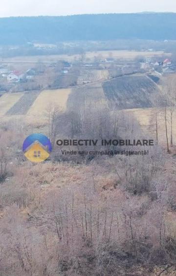 Teren intravilan de 10515 mp, în Bodești