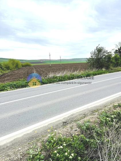 Teren agricol intravilan de 4500 mp, în Precista