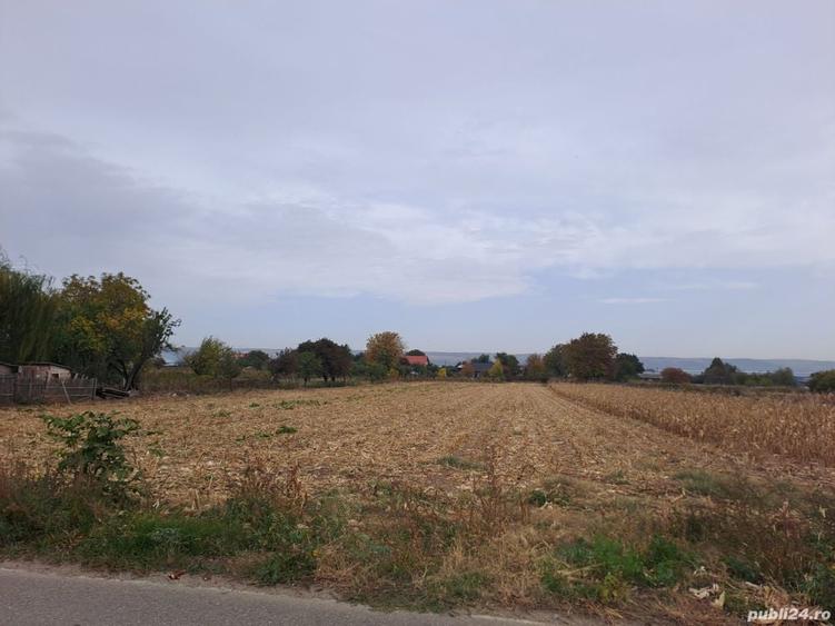Teren de 2650 mp, în Schineni (Sascut)
