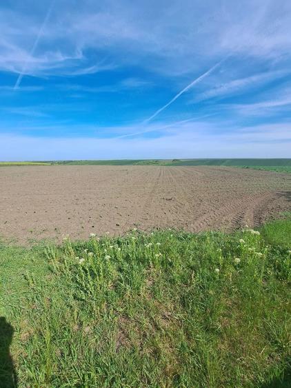 Teren de 20000 mp, în Bencecu de Sus