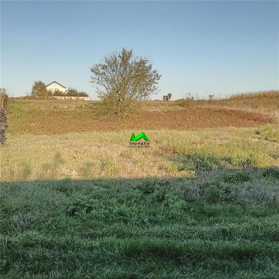 Teren agricol intravilan de 1000 mp, în Nord