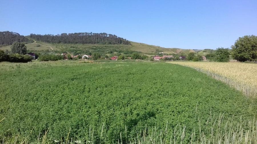 Teren Construcții intravilan de 1292 mp, în Bonțida