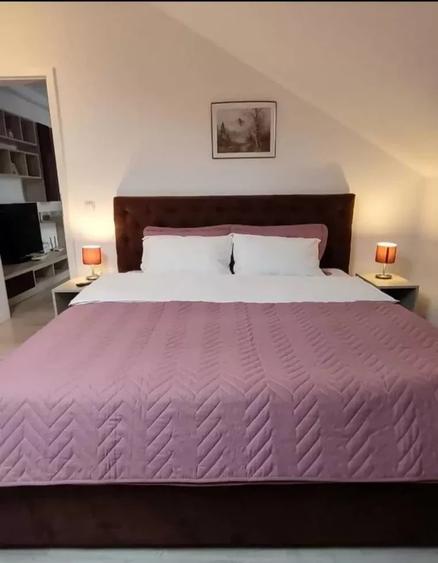 Apartament cu 2 camere decomandat, mobilat în Palat