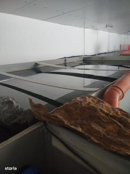 Casă cu 4 camere cu Teren 4200 Mp în Central
