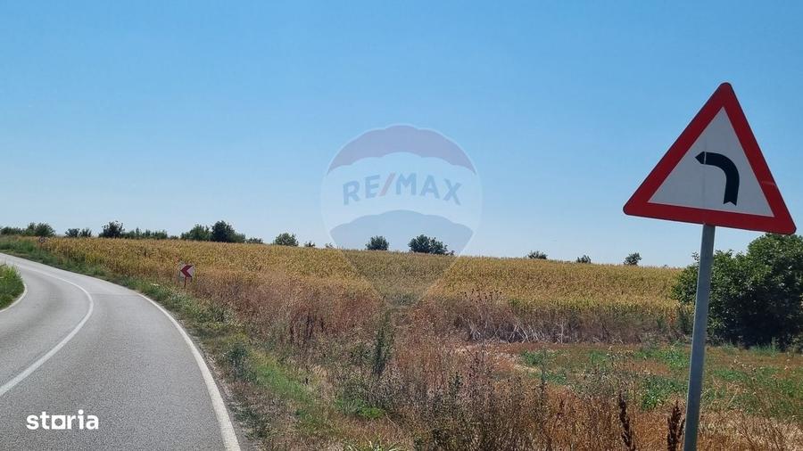 Teren 16.083 mp de vanzare Sinesti, sat Lilieci, Slobozia - 2