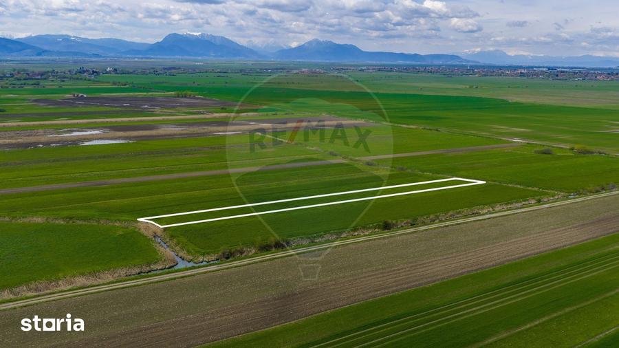 Teren de 4000 mp, în Prejmer