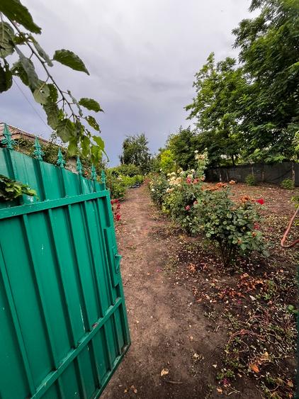 Casă cu 3 camere cu Teren 1700 Mp în Sălcioara