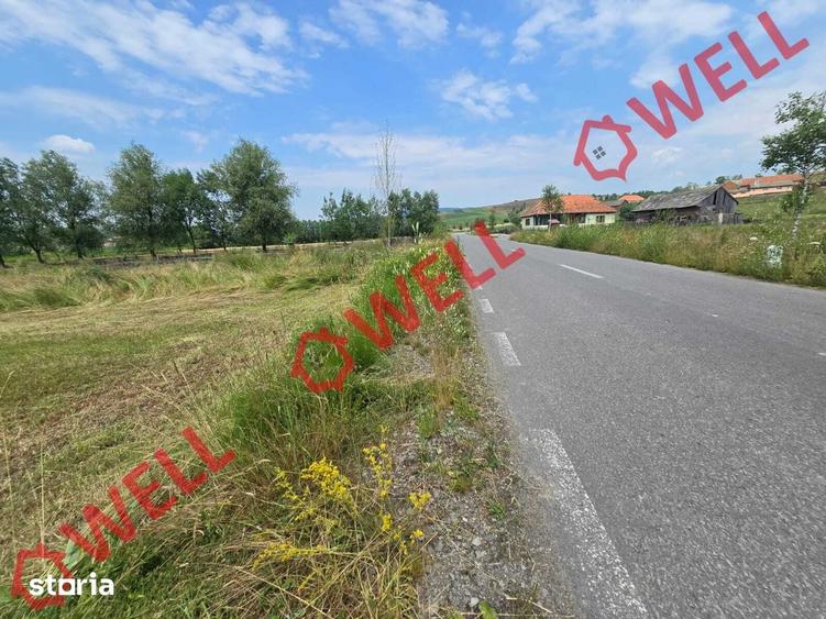 Teren de 2400 mp, în Barcani