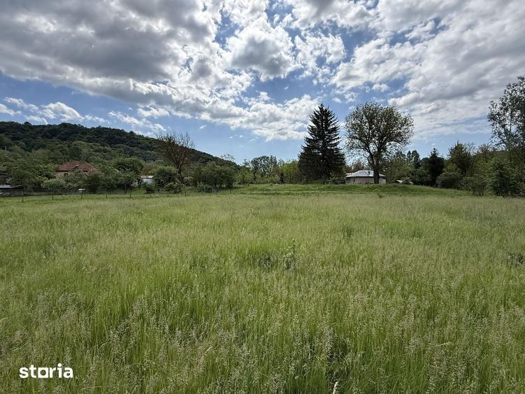 Teren de 1200 mp, în Provița de Sus