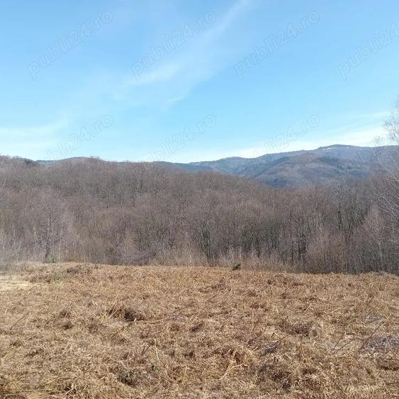 Teren de 10000 mp, în Luncșoara