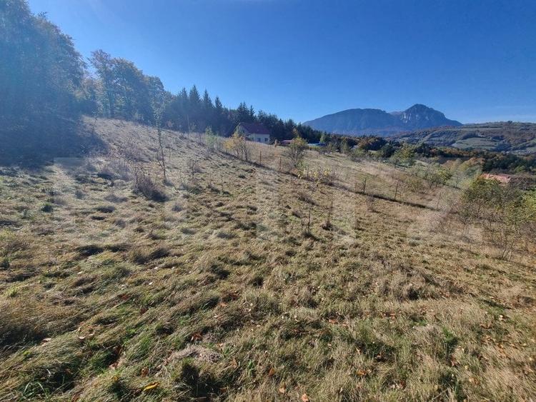Teren Construcții extravilan de 2346 mp, în Poiana Mărului