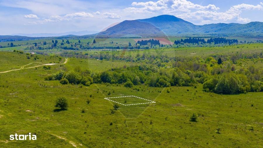 Teren de 500 mp, în Dumbrăvița