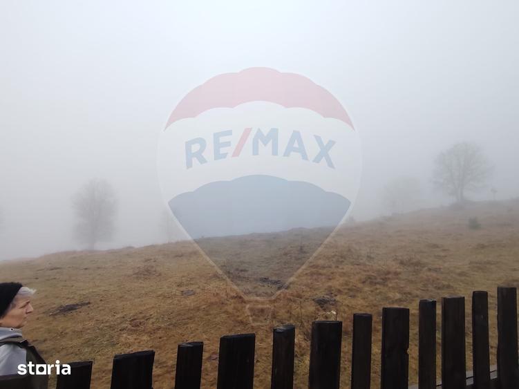 Teren de 26238 mp, în Dorna-Arini