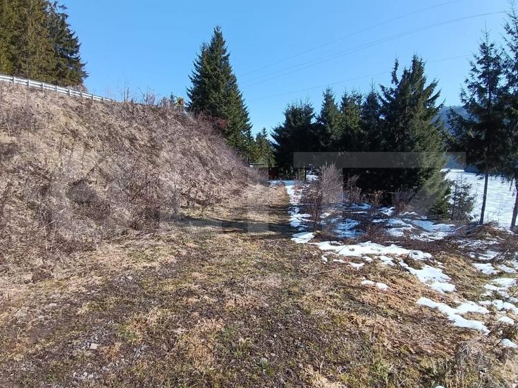 Teren Construcții intravilan de 3100 mp, în Colibița