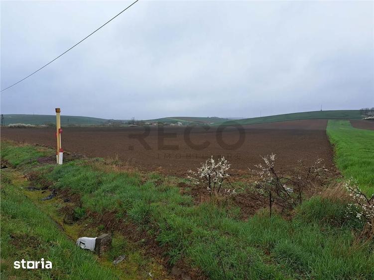 Teren de 7800 mp, în Central