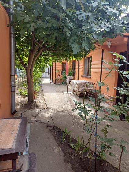Casă cu 3 camere în Romanești