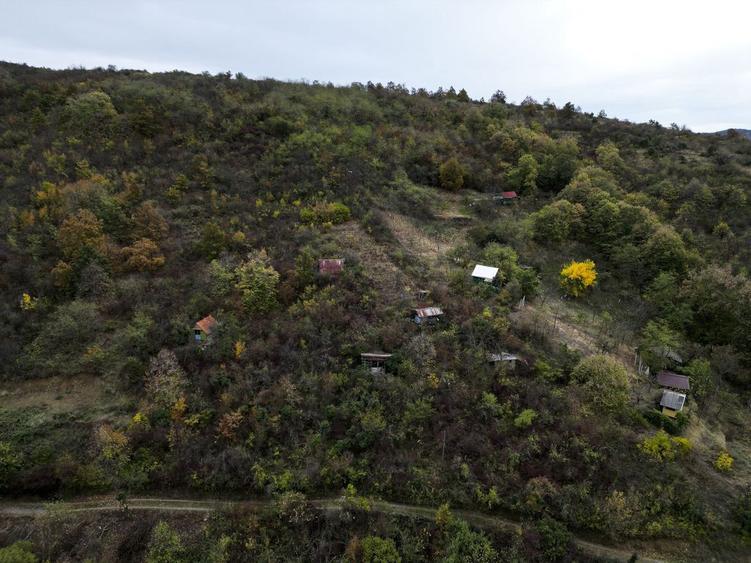 Teren de 18300 mp, în Ghioroc