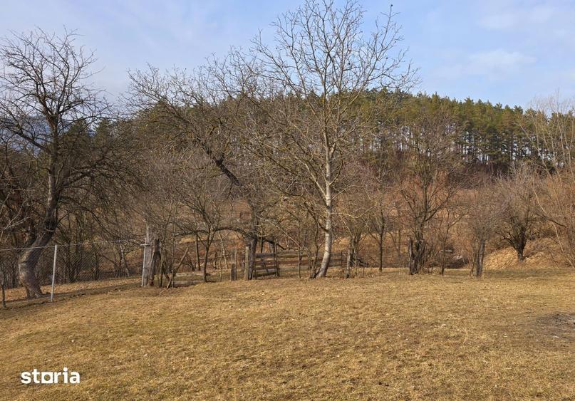 Teren de 8200 mp, în Central