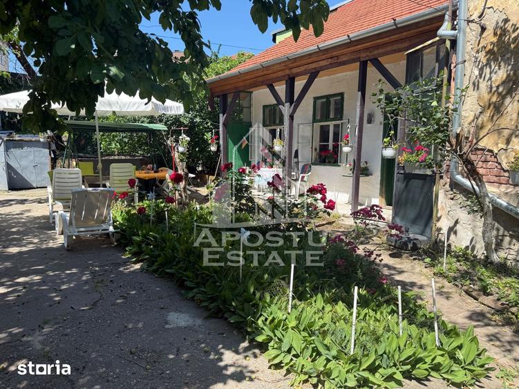 Doua case de vanzare in aceea?i curte zona Maria - 20