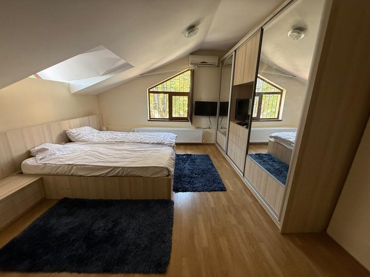 Apartament cu 2 camere, mobilat în Ultracentral