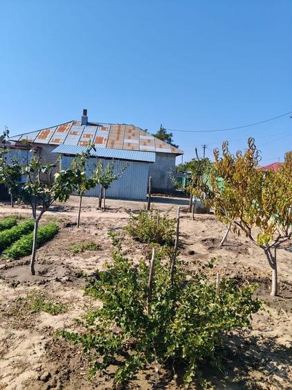 Casa de vanzare , 4 camere, 2 holuri - 2