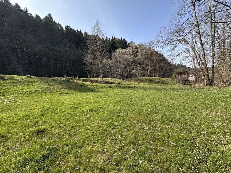 Teren de 6888 mp, în Putna