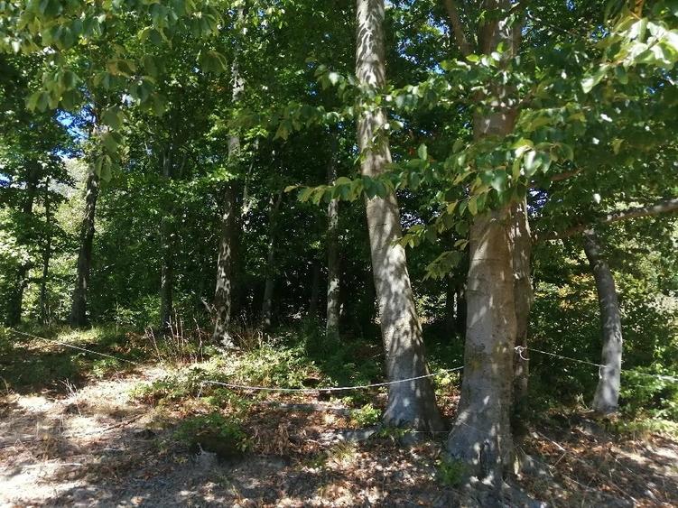 Teren de 4100 mp, în Central