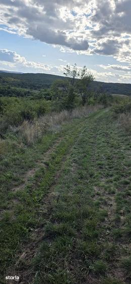 Teren mixt de vanzare, 9500 mp, acces asfaltat - 11