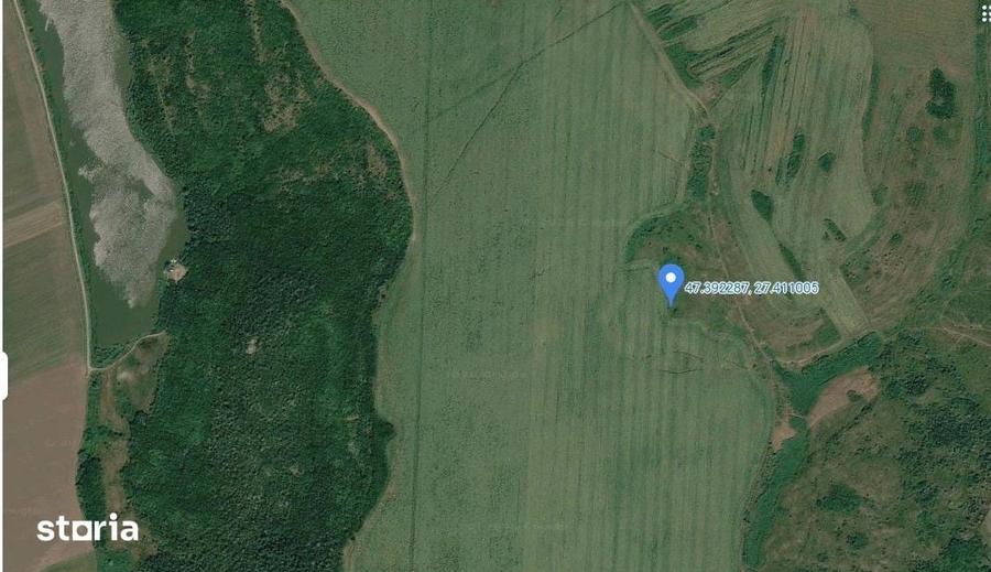 Teren de 15900 mp, în Probota