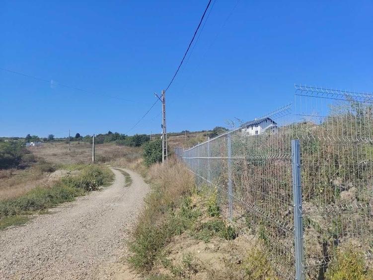 12990 EURO Tomesti-Goruni Teren de Vanzare - 5