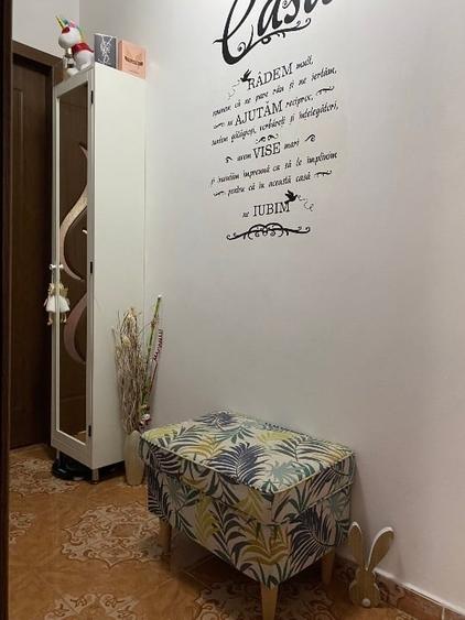 Apartament cu 2 camere semidecomandat, mobilat în Șagului