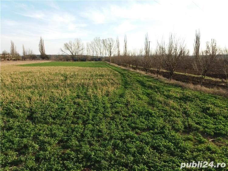 Teren de 18000 mp, în Central