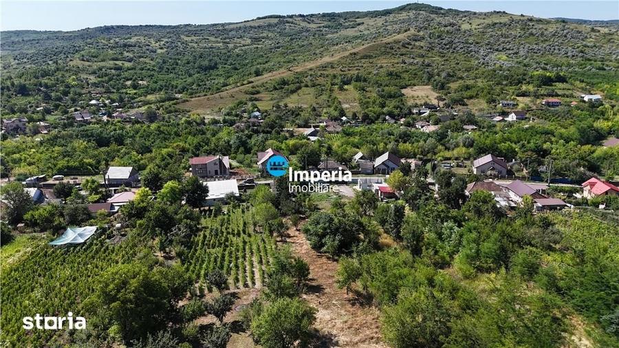 Casă cu 3 camere cu Teren 1487 Mp în Costuleni